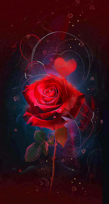 黑色情人节 黑色情人节