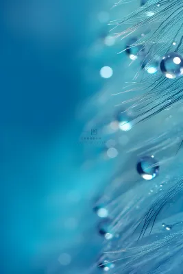 露珠蓝色清新大气背景