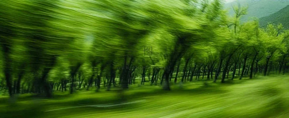 绿色树木虚幻树林摄影图