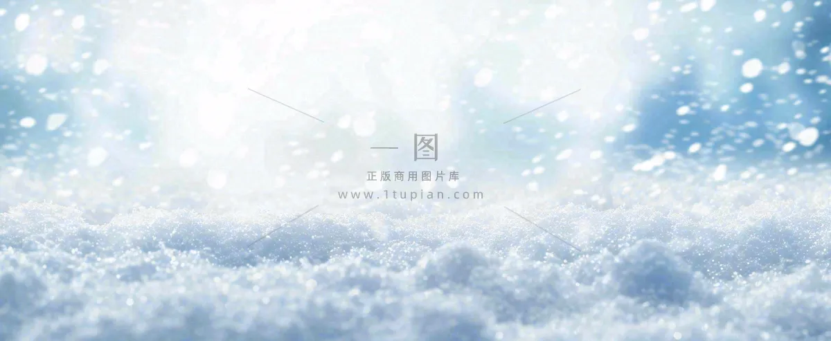 冬天白色闪耀的雪花寒冷唯美小寒大寒立冬大雪摄影图