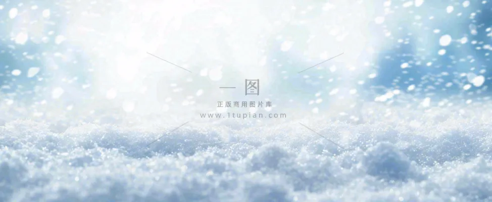 冬天白色闪耀的雪花寒冷唯美小寒大寒立冬大雪摄影图 冬天白色闪耀的雪花寒冷唯美小寒大寒立冬大雪摄影图