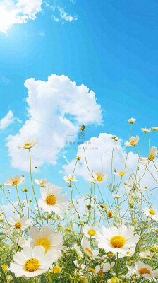 城市晴天阳光鲜花春天蓝天白云，立夏小满