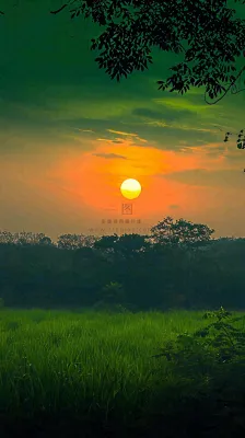 春天落日温馨稻草水稻农田种植,小满芒种摄影图 春天落日温馨稻草水稻农田种植,小满芒种摄影图