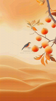 秋冬柿子树上的小鸟黄色插画霜降背景 秋冬柿子树上的小鸟黄色插画霜降背景