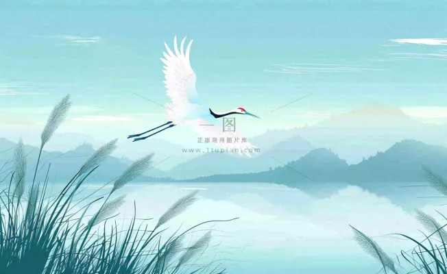 白鹭齐飞天水一色山水画芦苇荡清冷白露寒露插画背景