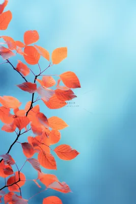 简约大气红叶枝叶节气海报背景 简约大气红叶枝叶节气海报背景
