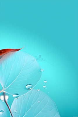 树叶露珠青色大气意境背景 树叶露珠青色大气意境背景