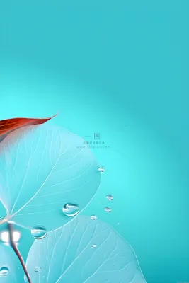 树叶露珠青色大气意境背景 树叶露珠青色大气意境背景