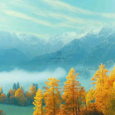 秋天黄色的树叶和草地肃杀的气氛,立秋,秋分 秋天黄色的树叶和草地肃杀的气氛,立秋,秋分