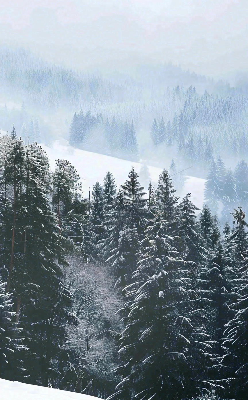 冬天寒冷白雪结冰大寒摄影图