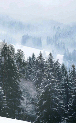 冬天寒冷白雪结冰大寒摄影图