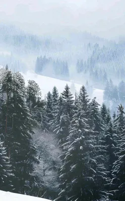 冬天寒冷白雪结冰大寒摄影图 冬天寒冷白雪结冰大寒摄影图