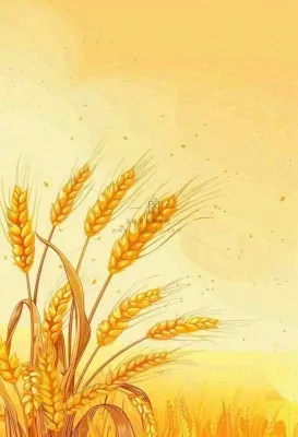 农田里金黄的麦穗稻穗收成卡通插画芒种世界粮食日插画背景 农田里金黄的麦穗稻穗收成卡通插画芒种世界粮食日插画背景