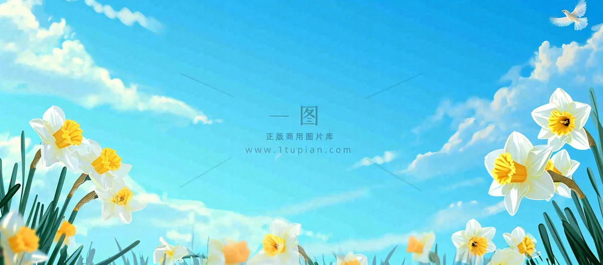 春日草地鲜花清新郊外草坪蓝天白云,春分