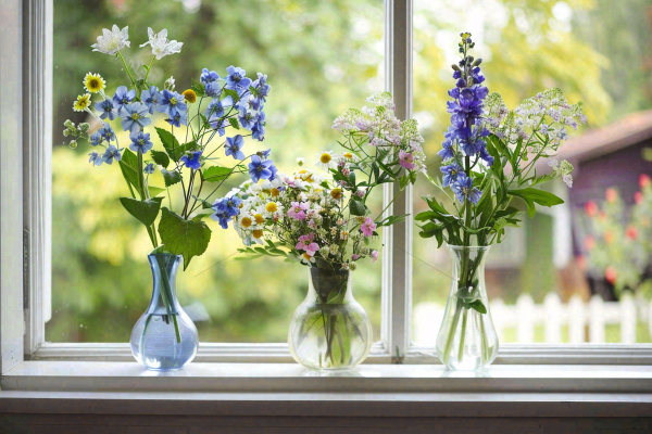 窗台花瓶鲜花清新春日景色摄影图