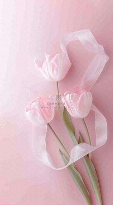 粉色郁金香花束母亲节送花摄影图 粉色郁金香花束母亲节送花摄影图