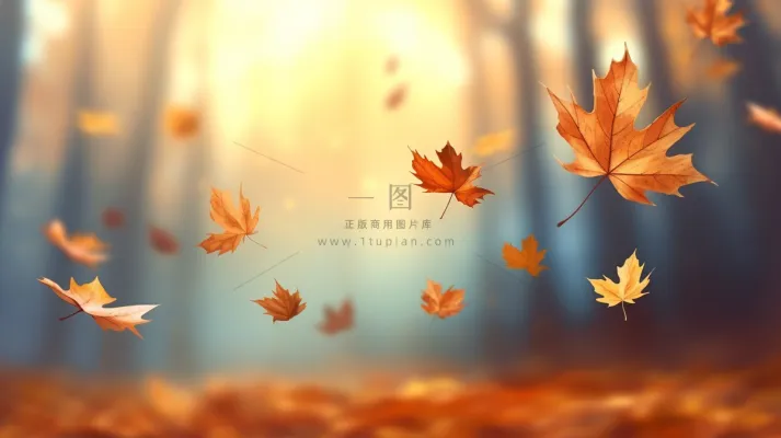 秋天落叶枯黄叶片摄影图