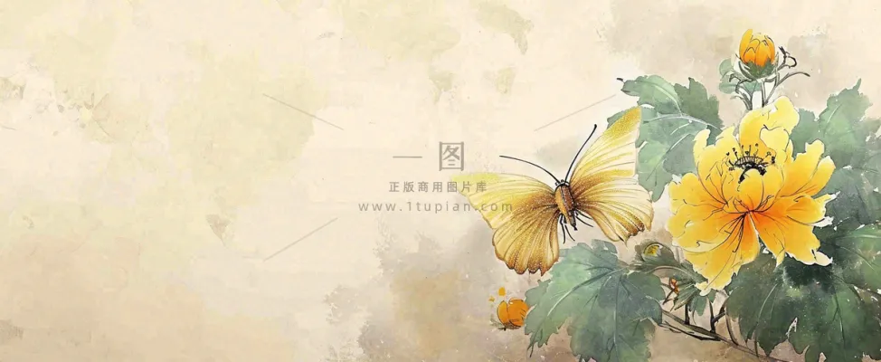 温馨纹理橙色花朵鲜花蝴蝶意境唯美渐变，中国风