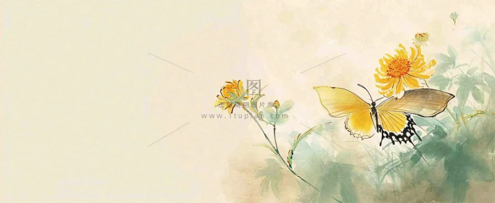 温馨纹理橙色花朵鲜花蝴蝶意境唯美,中国风 温馨纹理橙色花朵鲜花蝴蝶意境唯美,中国风