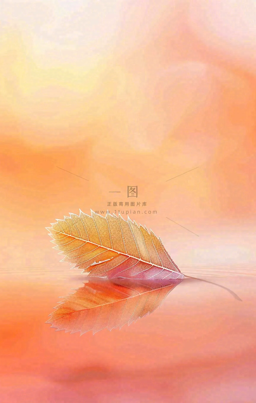 秋天秋分立秋