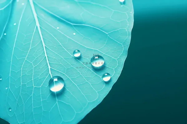 树叶露珠青色大气意境背景 树叶露珠青色大气意境背景