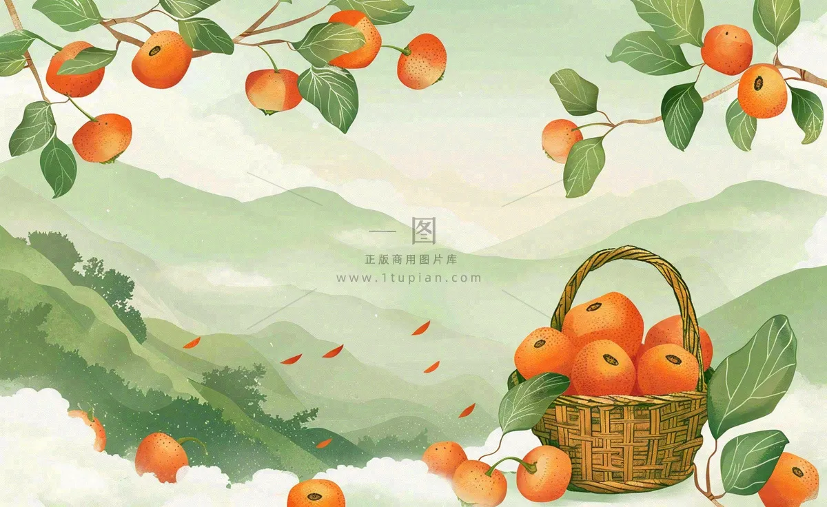秋天丰收季果树成熟果篮橘子黄杏处暑立秋秋分卡通插画背景
