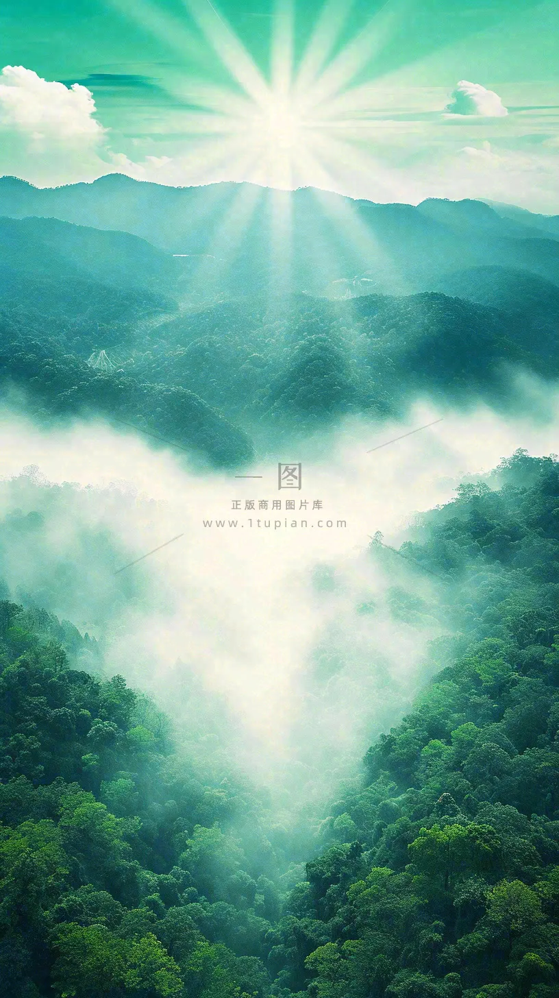 中国风高山绿植森林丛林，阳光蓝天白云，户外