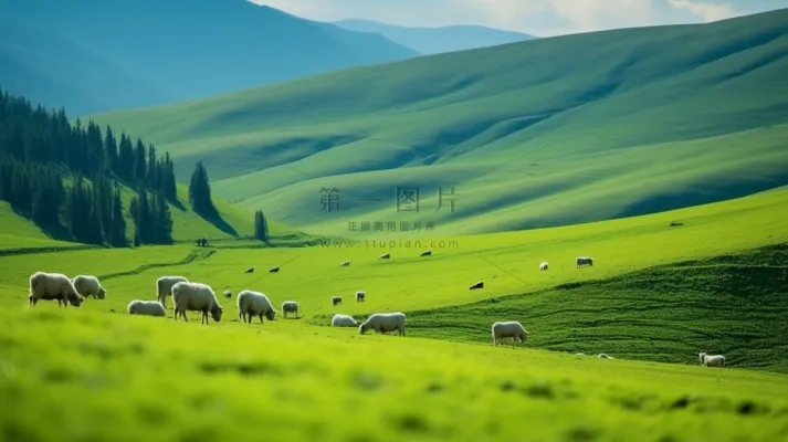 新疆春天草原风光大自然风景摄影图 新疆春天草原风光大自然风景摄影图