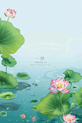 夏日池塘里的荷花荷叶插画清新淡雅立夏小暑大暑处暑卡通插画背景