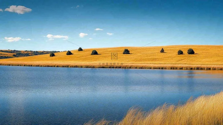 秋天枯黄的草原湖泊大自然风光摄影图