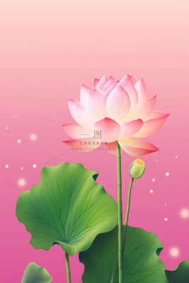 清爽简约创意粉色荷花插画背景 清爽简约创意粉色荷花插画背景