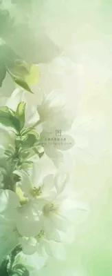 白色清新花朵朦胧唯美意境,鲜花摄影图 白色清新花朵朦胧唯美意境,鲜花摄影图