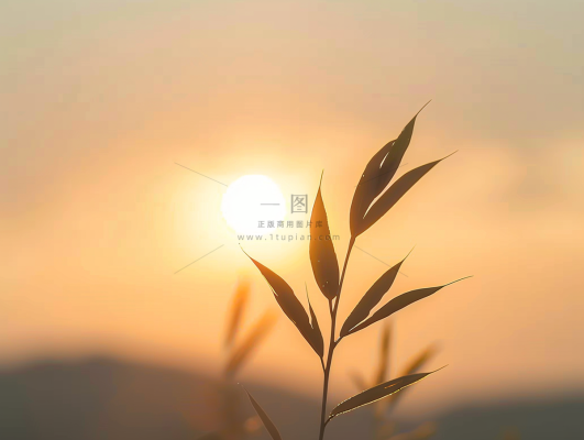 清晨日出朝霞云层山川摄影图