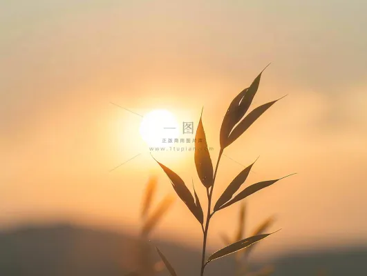 清晨日出朝霞云层山川摄影图