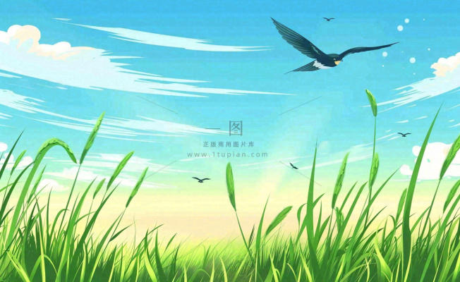 春天草场莺飞小麦地绿色麦苗小满芒种立夏卡通插画背景