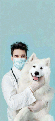 萌宠宠物医院医生抱着狗狗摄影图背景 萌宠宠物医院医生抱着狗狗摄影图背景