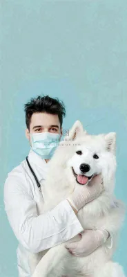 萌宠宠物医院医生抱着狗狗摄影图背景 萌宠宠物医院医生抱着狗狗摄影图背景