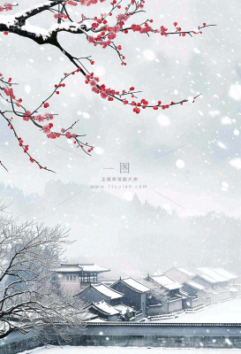 冬天寒冷白雪结冰大寒摄影图 冬天寒冷白雪结冰大寒摄影图