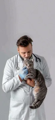 萌宠宠物医院医生抱着猫咪摄影图背景 萌宠宠物医院医生抱着猫咪摄影图背景