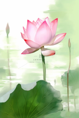 国风荷花水墨节气背景 国风荷花水墨节气背景