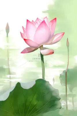 国风荷花水墨节气背景 国风荷花水墨节气背景