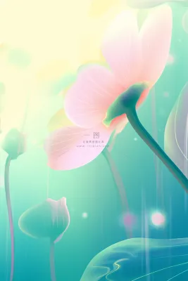 清新创意粉色荷花节气海报背景 清新创意粉色荷花节气海报背景