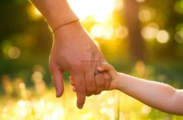 大手牵小手温馨阳光亲情父亲节摄影图 大手牵小手温馨阳光亲情父亲节摄影图