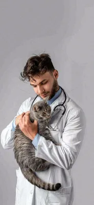 萌宠宠物医院医生抱着猫咪摄影图背景 萌宠宠物医院医生抱着猫咪摄影图背景