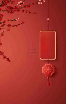 红色国风背景梅花花朵插画元旦背景