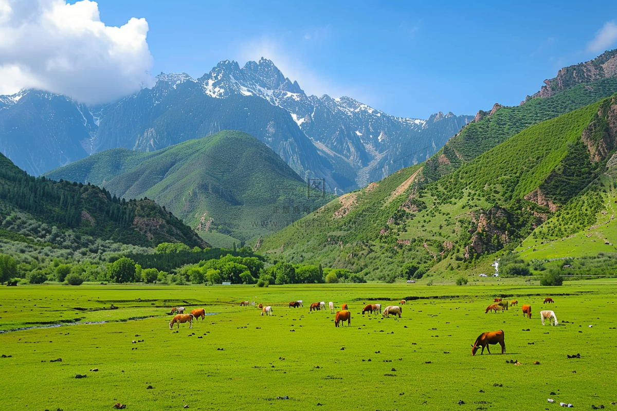 春天草甸草地山坡摄影图