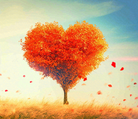 秋天爱心树木橙红色落叶蓝天温馨