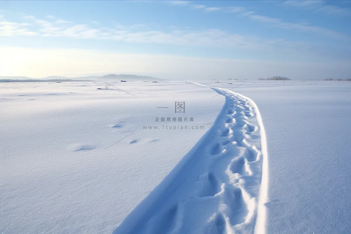 冬天雪地里走过的脚印雪景摄影图