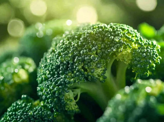 西兰花蔬菜绿色营养摄影图