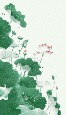 夏天荷花荷叶清凉小清新淡雅小暑大暑处暑插画背景